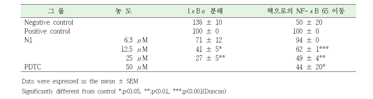 RAW 264.7 세포에서 N1의 IκBα 분해 및 NF-κB p65의 핵으로 이동에 대한 영향