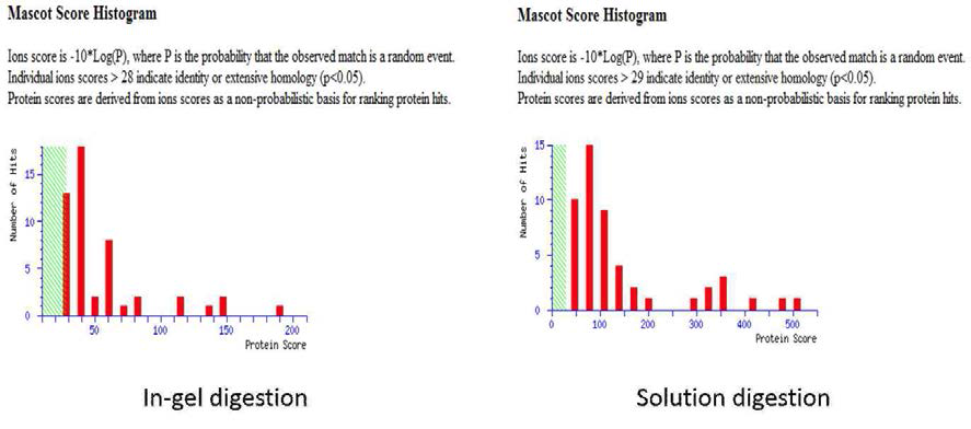 mass 분석을 통한 In-gel digestion 과 solution digestion의 정량적 비교