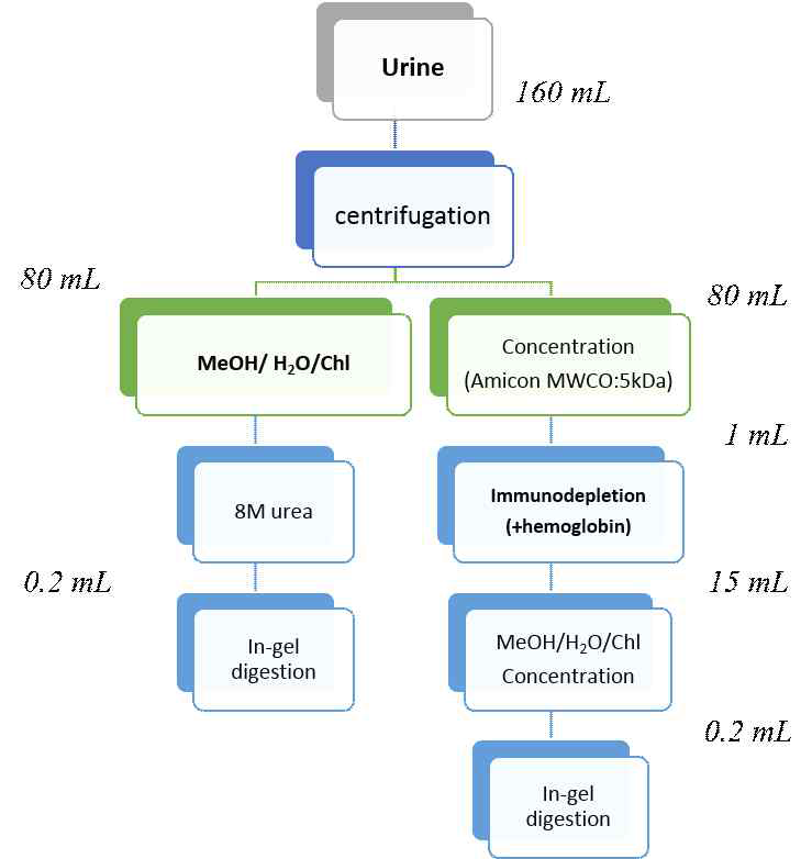 결핵환자의 urine으로부터 바이오마커를 동정하기 위한 identification strategy