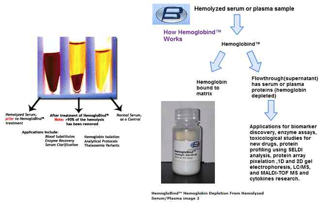 분석시료로부터 hemoglobin을 제거하기 위한 HemogloBind bead