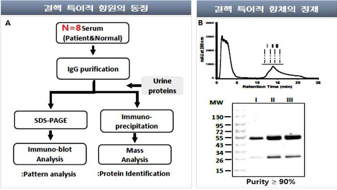 결핵특이적 항체를 이용한 바이오마커 후보군의 검증방법