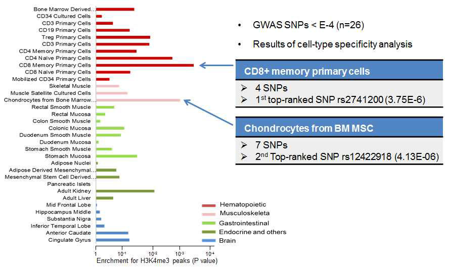 류마티스관절염 GWAS 상위 SNPs과 overlap되는 특정 세포 내의 histone modification mark