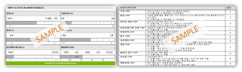 포괄평가 결과: 상태, 욕구, 위험 프로파일링(예시)