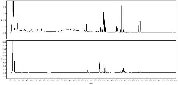 대표적인 성분프로파일 크로마토그램 (위: HPLC-UV, 아래:HPLC-ELSD)