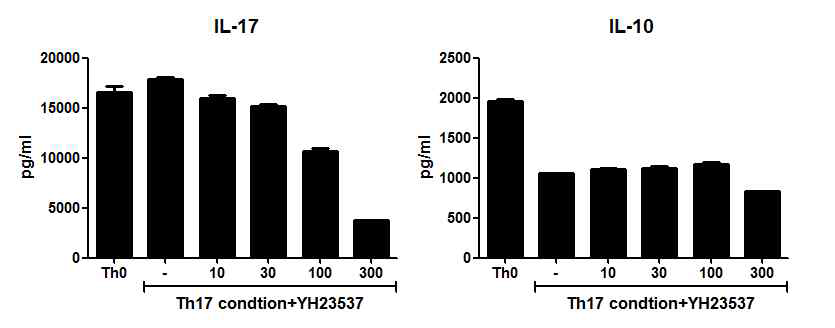 YH23537 처리에 의한 IL-17과 IL-10의 변화 조사
