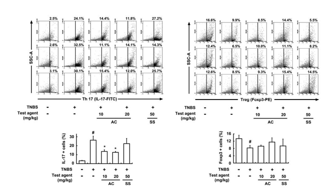 Effect of DWac on the differentiation of Th17 and Treg cells in mice with TNBS-induced colitis.