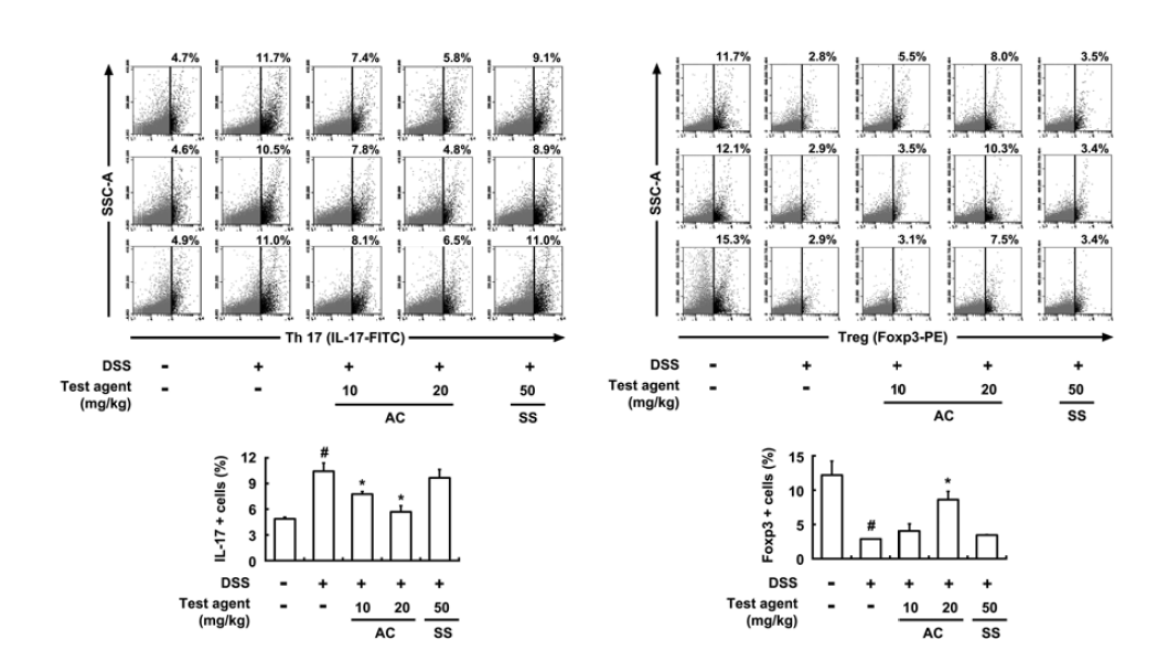 Effect of DWac on the differentiation of Th17 and Treg cells in mice with DSS-induced colitis.