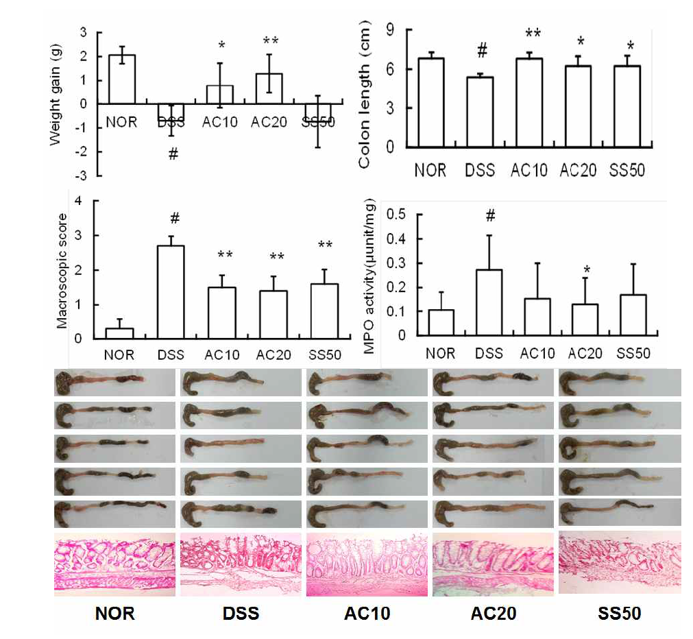 Anti-inflammatory effect of DWac in mice with DSS-induced chronic colitis.