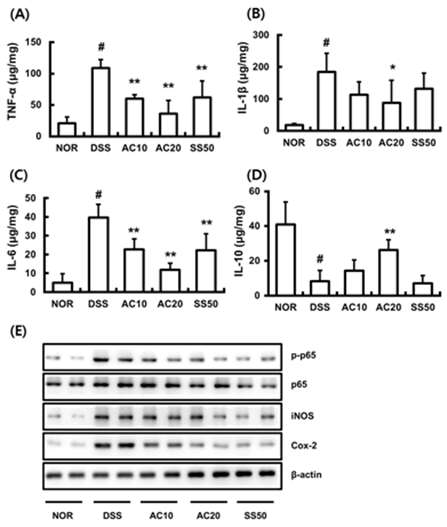 Inhibitory effect of DWac on the expression of inflammatory cytokines, iNOS, and COX-2 and the activation of NF-κB in mice with DSS-induced chronic colitis.