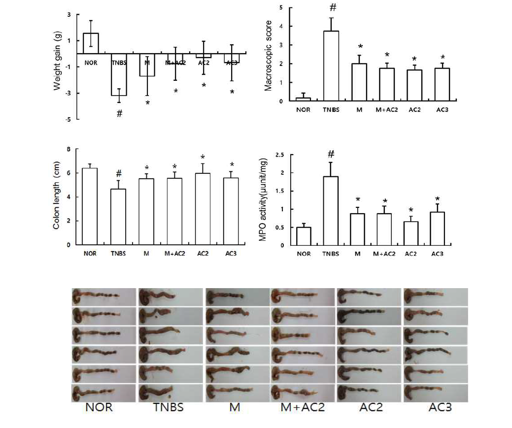 Anti-colitic effect of DWac in mice with TNBS-induced colitis.