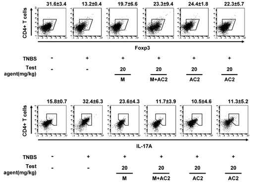 Inhibitory effect of DWac on the differentiation of Th17 and Treg cells in mice with TNBS-induced colitis.