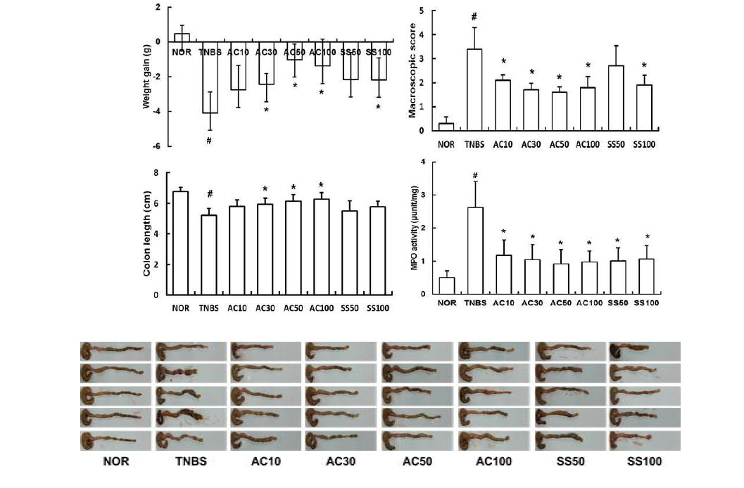 Anti-colitic effect of DW2007 in mice with TNBS-induced colitis.