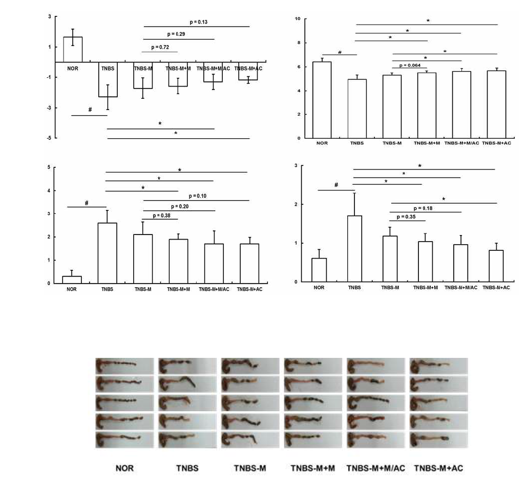 Anti-colitic effect of DWac in mice with TNBS-induced mesalazine resistance colitis.