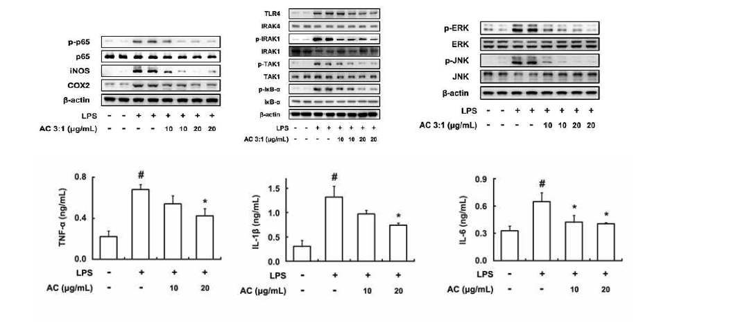 Inhibitory effect of DWac on the expression of inflammatory cytokines, iNOS, and COX-2 and the activation of NF-κB in peritoneal macrophages.