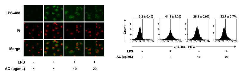 Inhibitory effect of DWac on the binding of LPS to TLR4 on peritoneal macrophages.
