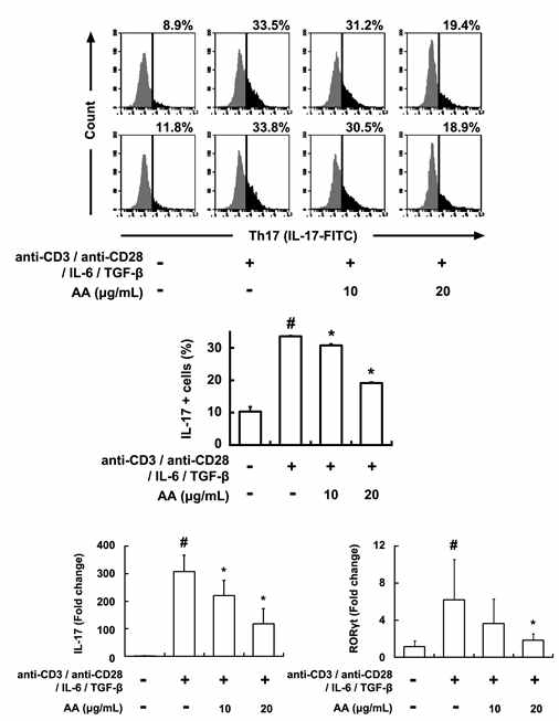 Inhibitory effect of AA on the differentiation of splenic Th cells into Th17 cells.