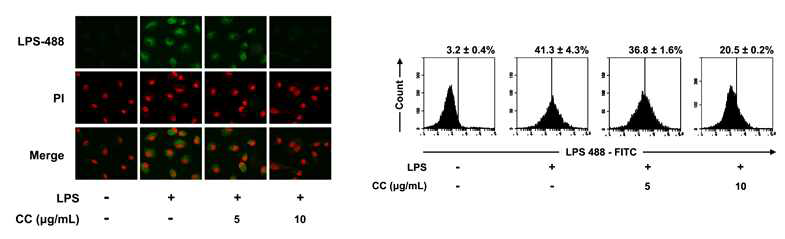 Inhibitory effect of CC on the binding of LPS to TLR4 on peritoneal macrophages.