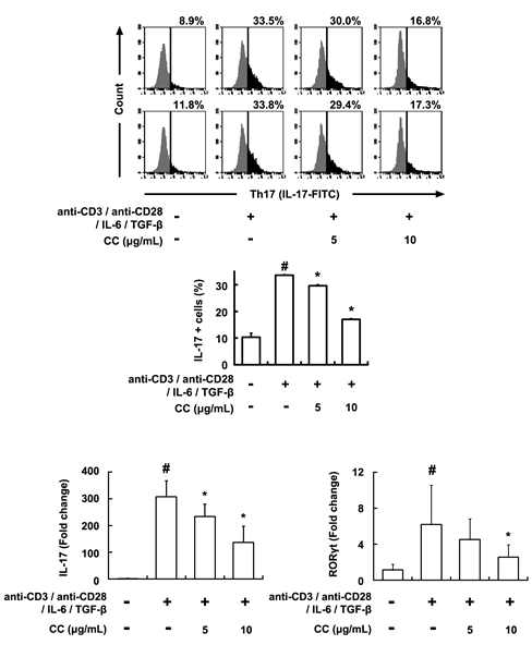 Inhibitory effect of CC on the differentiation of splenic Th cells into Th17 cells.