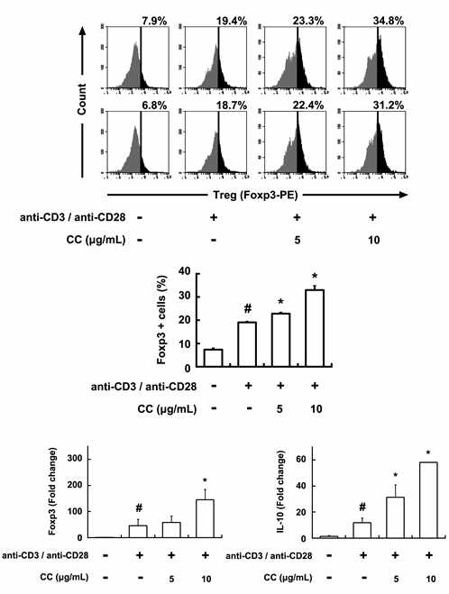 Inducing effect of CC on the differentiation of splenic Th cells into Treg cells.