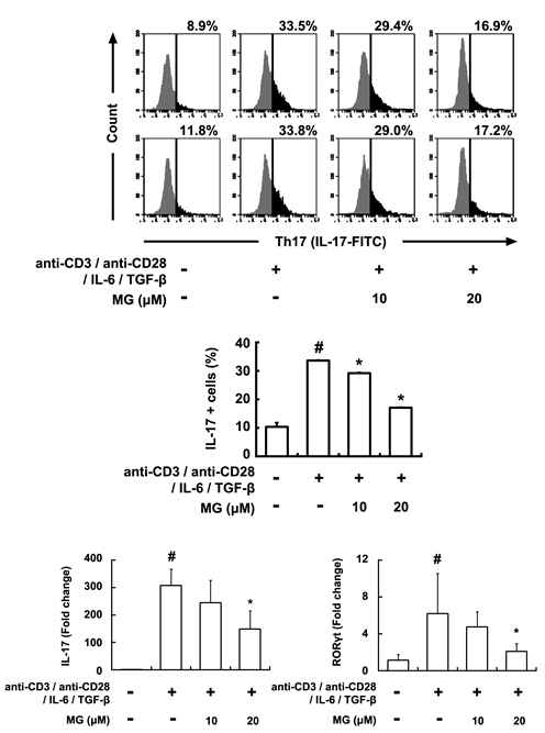 Inhibitory effect of MG on the IRAK phosphorylation on peritoneal macrophages.