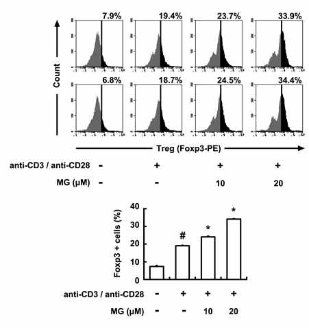 Inhibitory effect of MG on the differentiation of splenic Th cells into Th17 cells.
