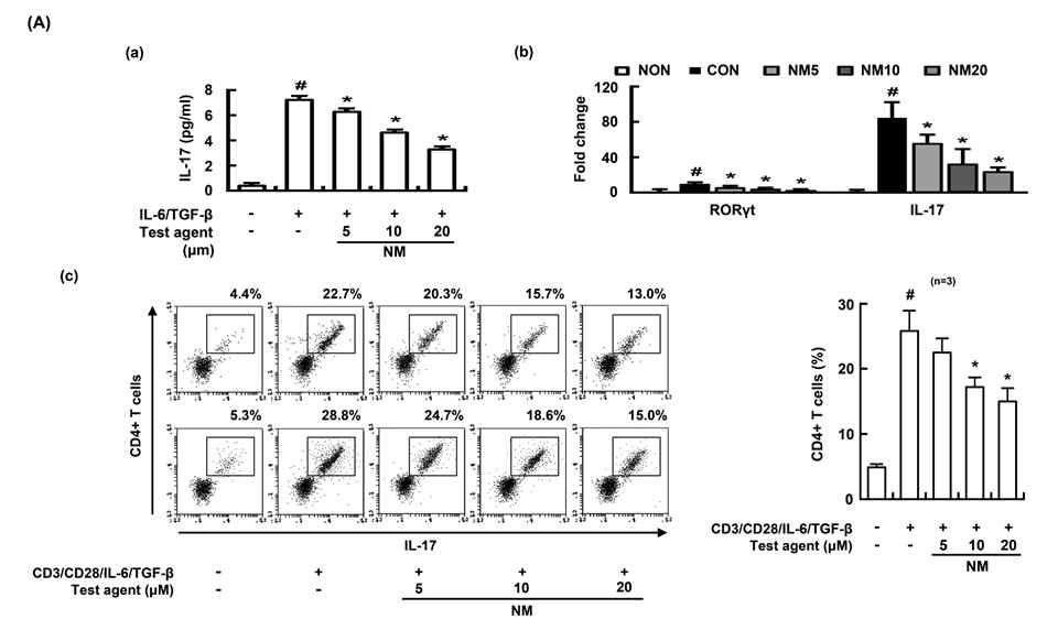 Inhibitory effect of NM on the differentiation of splenic Th cells into Th17 cells.