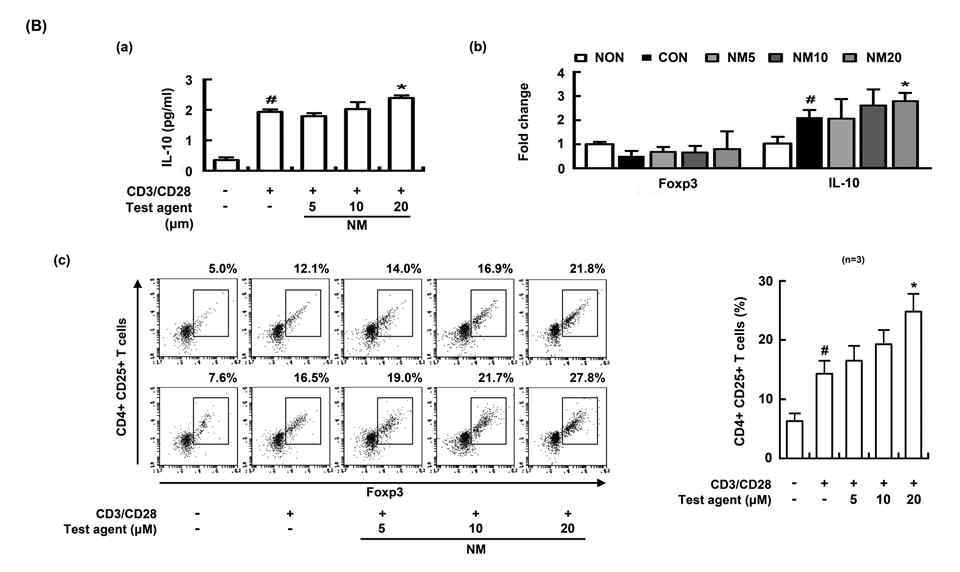 Inducing effect of NM on the differentiation of splenic Th cells into Treg cells.