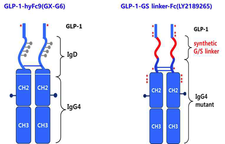 제넥신의 GX-G6 및 Eli Lilly의 Dulaglutide 구조
