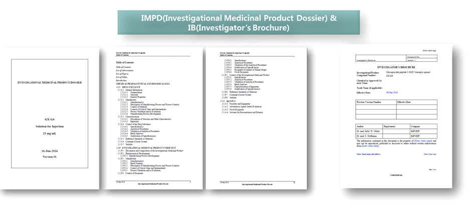 IMPD(Investigational Medicinal Product Dossier) 및 IB(Investigator's Brochure)