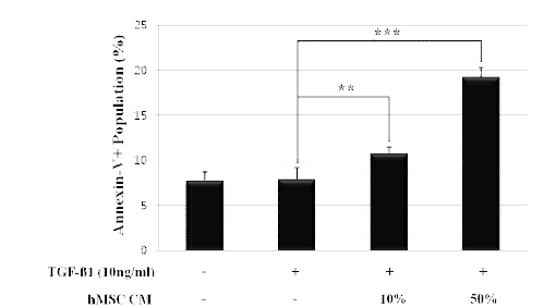 MSC-CM induced apoptosis of activated HeSCs