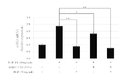 HGF significantly decreased α-SMA mRNA expression