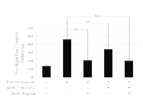 HGF significantly decreased collagen synthesis.