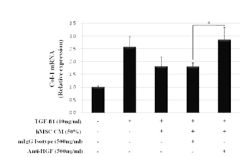 HGF neutralizing antibody attenuated the suppressive action of MSC-CM on Col-1 mRNA expression of activated HeSCs