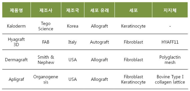 인공피부 치료제 현황