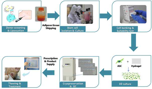 ALLO-ASC-DFU 제조 flow chart
