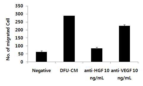 ALLO-ASC-DFU에 의한 섬유아세포 이동에 HGF 및 VEGF가 미치는 영향