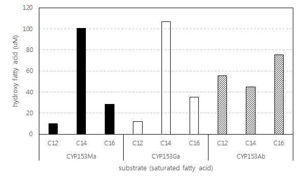 세 개의 CYP153 유전자의 specific activity 비교