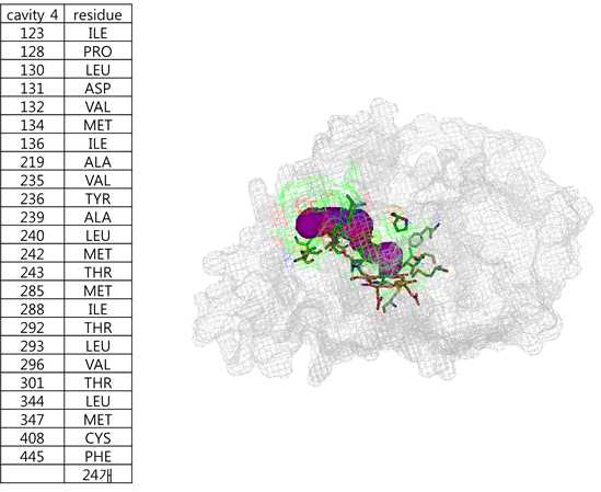 CYP153A35의 호몰로지 모델링을 통해 예측된 단백질 3D 구조와 효소의 활성 개량을 위한 목표 잔기