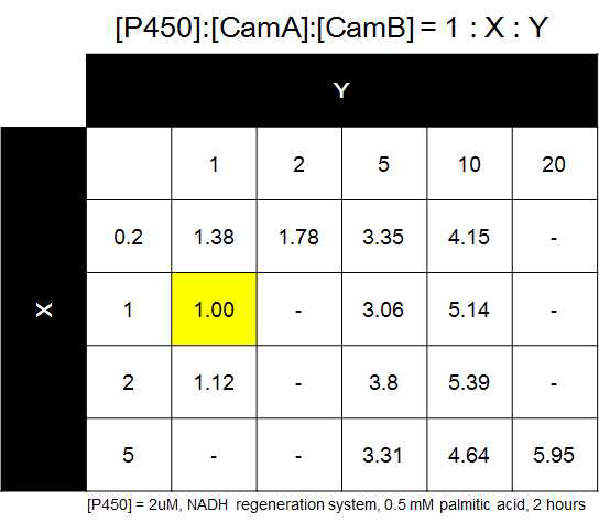 P450, camA, camB의 농도에 따른 in vitro 반응 결과