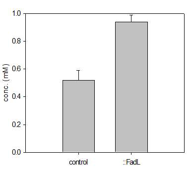 FadL 과발현 균주와 야생형 균주와의 오메가-수산화 지방산 생산 수율 비교