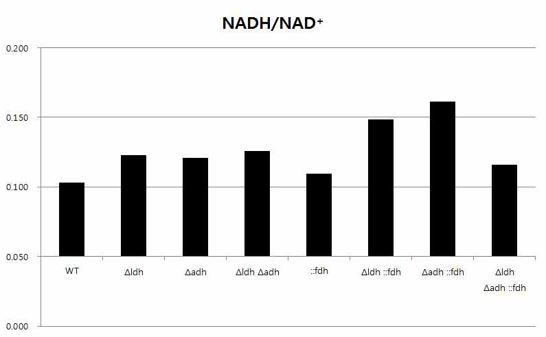 △adh, △ldh, ::fdh의 7가지 조합 mutant의 NADH/NAD+ ratio를 정량 결과