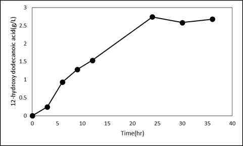 lab-scale 반응기에서의 수산화 라우르산 생산 profile