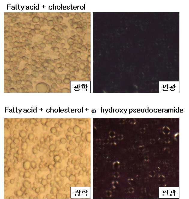 Cer1 type ω-hydroxy pseudoceramide가 포함된 화장품 제형의 다중층상유화제형 (multi-lamellar emulsion, MLE) 형성 모습.