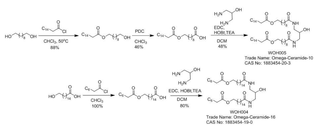 새로운 Cer 1 type ω-hydroxy pseudoceramide의 합성.