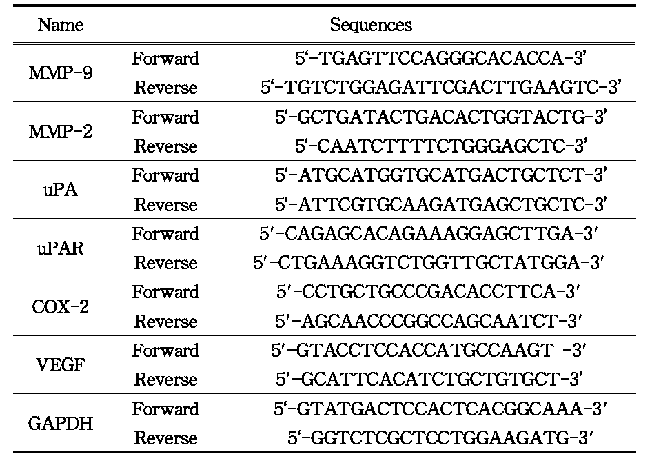 Real-time PCR에 사용된 primer의 종류 및 서열