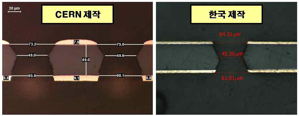 CERN과 한국에서 제작된 GEM의 단면 구조