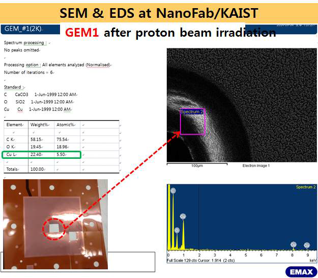 GEM을 SEM-EDX 방식으로 측정한 사진과 성분표