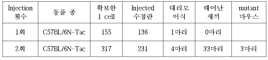 Mouse CAV3 Injection 내용