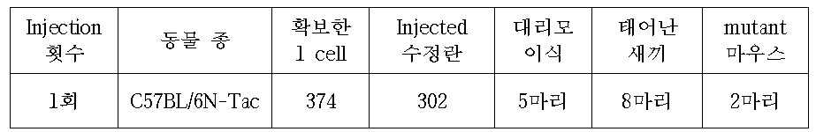 Mouse Itgbl1 Injection 내용