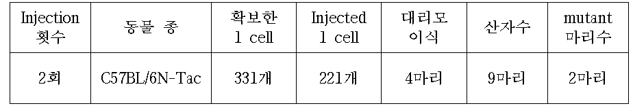 C57BL/6N-Tac mouse를 이용한 Krt26 RGENs Injection